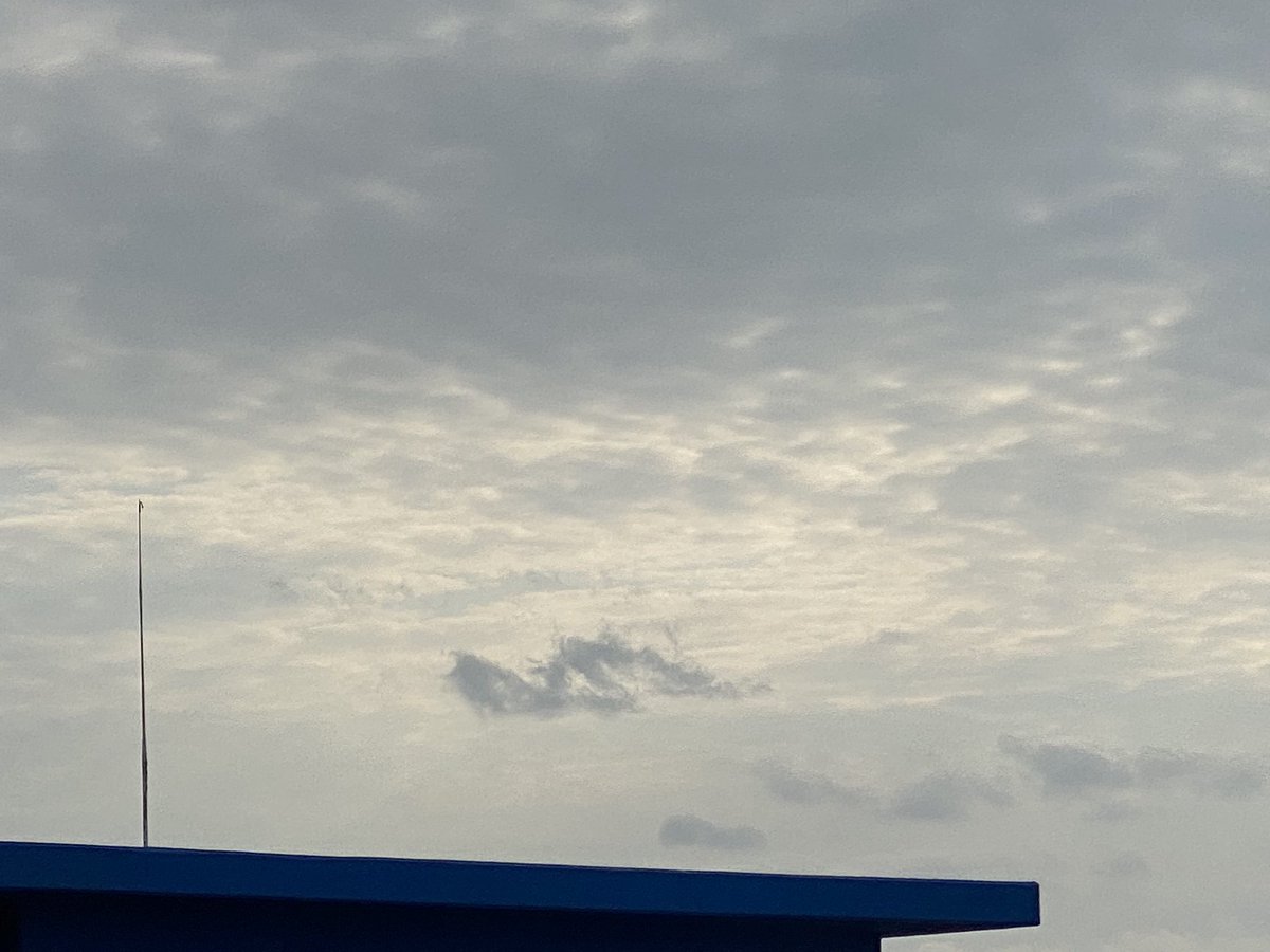 tetephoto7's tweet photo. 今日の太陽。
 #ててふぉと
 #tetephoto
 #太陽の写真 https://t.co/JHJheT5dVV