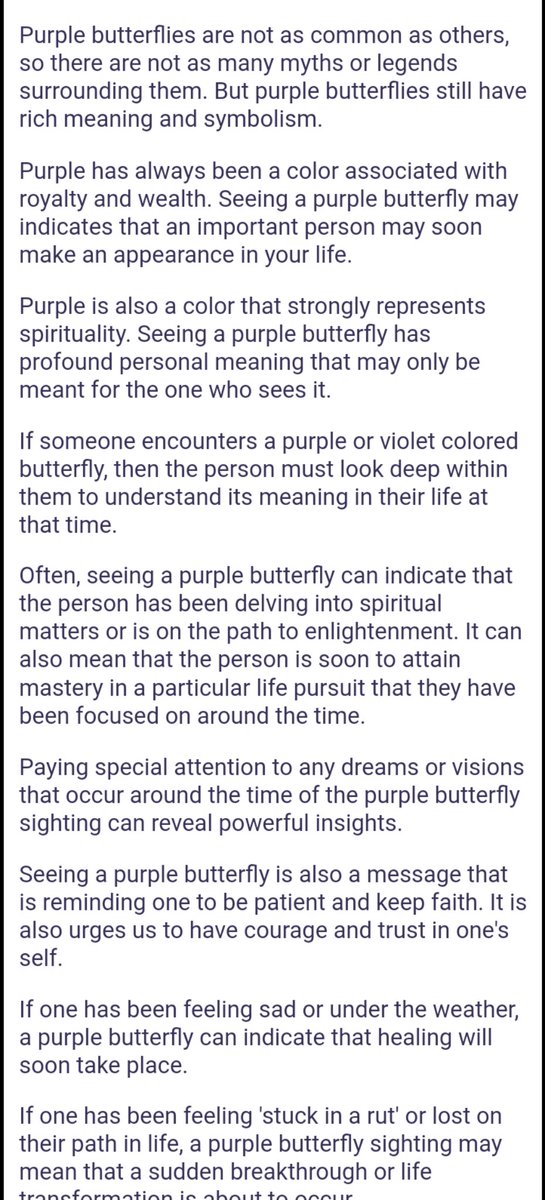 itsforever7A's tweet photo. @dilemmainchaos I did some research about butterfly, purple butterfly (gyu) and blue butterfly (tyun)....👀 https://t.co/lmpDeCXjQv