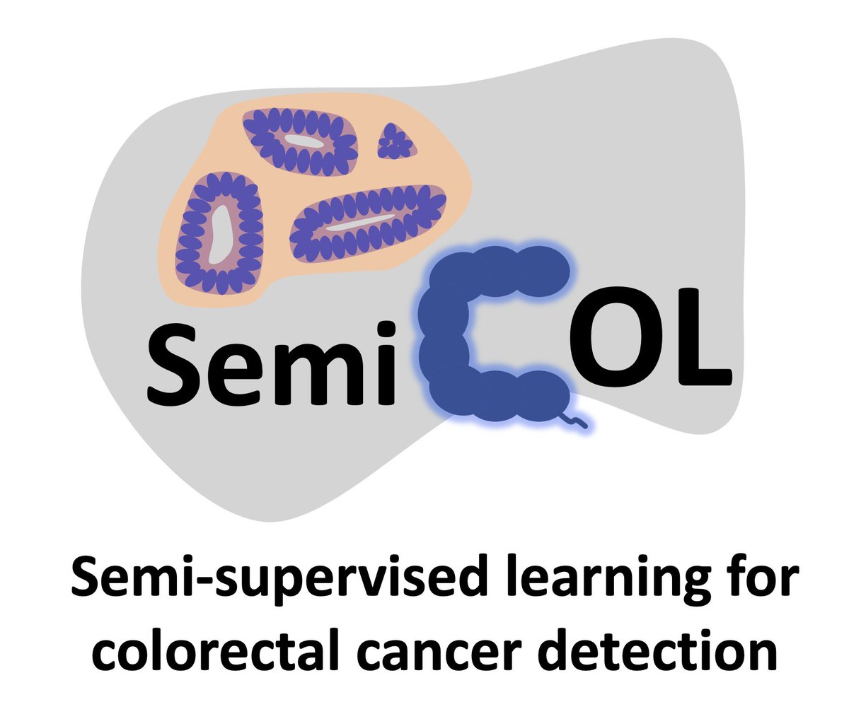 Yuri Tolkach tweet media