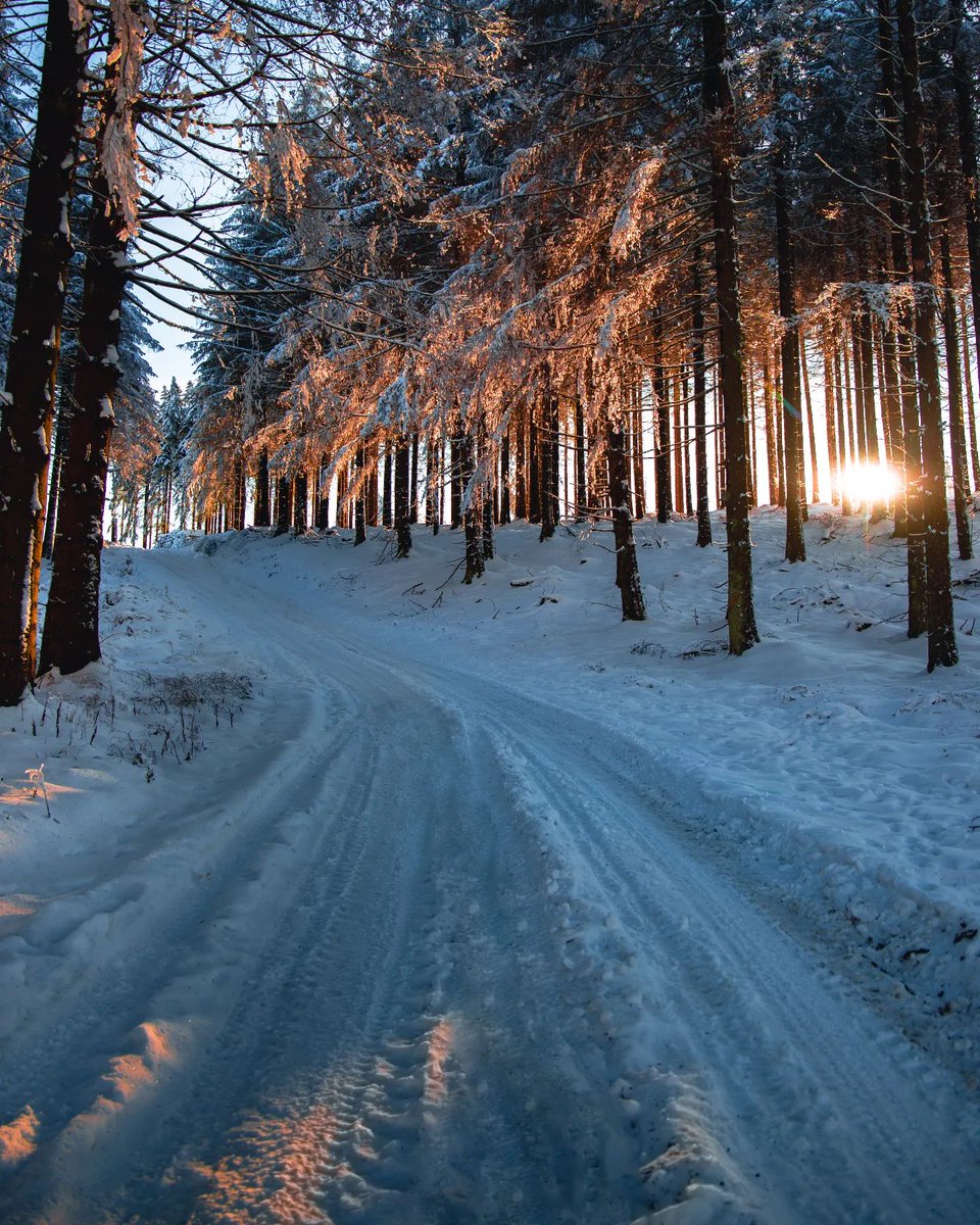 Morning walks Have a good start to the day 🙌😍
.
.
#photography #travel #photooftheday #morning #Tiger #BBTitans2023 #TheLastOfUs #GretaThunberg #nature #beauty #snow