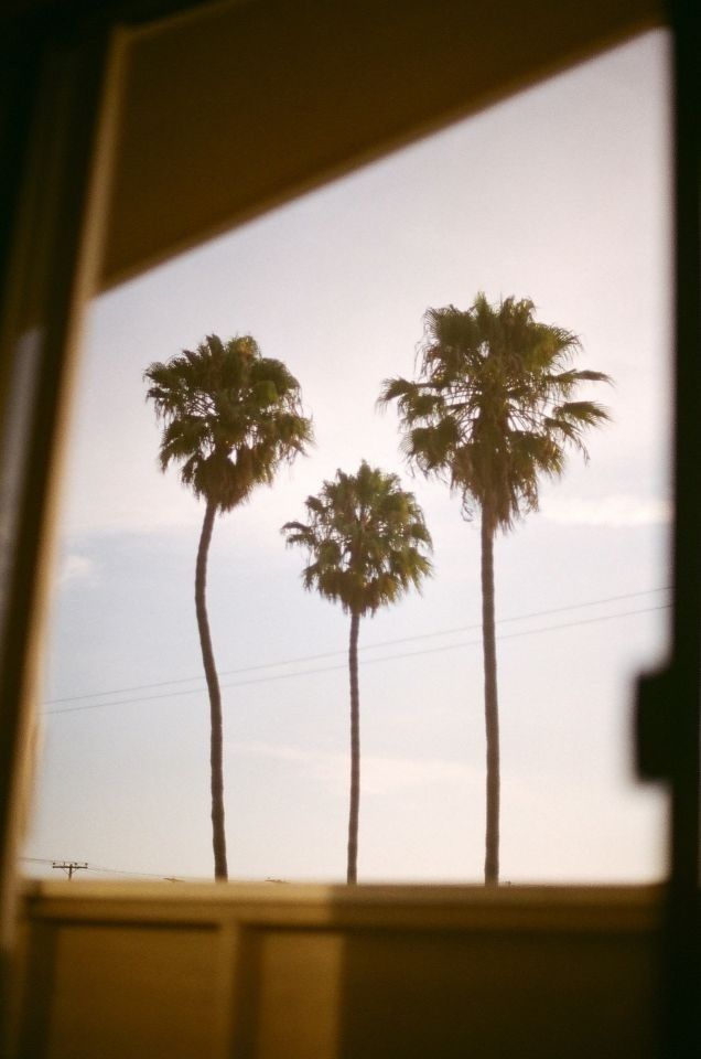 Old ways don't open new doors ✨

#quotes #inspirational #inspirationalquotes #goodvibes #motivational