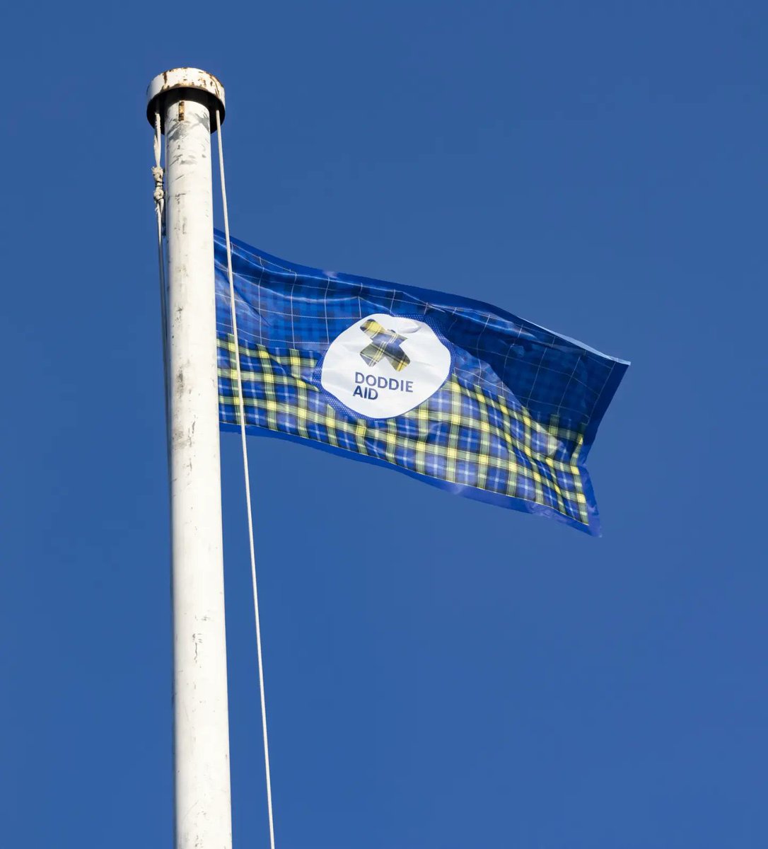 Flying high #DoddieAid 💙💛 Our #TeamEdinburgh team flag flying above the #Edinburgh City Chambers 👌🏻Let’s keep logging miles, fundraising and having fun. We’ve got this! @DoddieGump <a href="/EdinDoddieAid/">#teamedinburgh #DoddieAid</a> 
#doddieweir #mnd #Bepartofthecure @PwC_Scotland <a href="/happyeggshaped/">Happiness is Egg Shaped</a> <a href="/GWCandCommunity/">GWC and the Community</a>