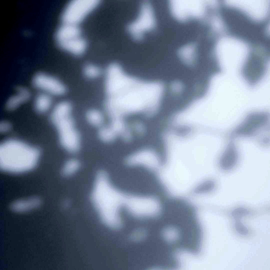 StroudcoFoodhub's tweet photo. A bit of a different nature perspective this morning with these beautiful shapes of the shadows from a tree's leaves.
#stroud #local #creative #england #woodland #tree #walking #photography #leaf #art #wellbeing #shadow #forest #outdoors #walk #apprecation #gloucestershire https://t.co/gWB3paPIZK