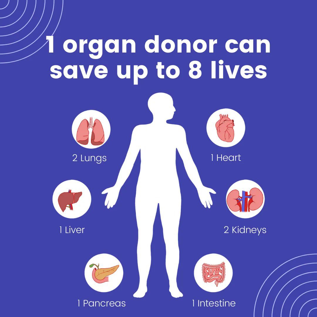 ❗️Wist je dat één orgaandonor tot wel 8 levens kan redden?
❗️Wist je dat de kans dat je ooit zelf een levensreddend orgaan nodig hebt zeker 7x groter is dan dat je na overlijden zelf donor wordt?
❗️Wist je dat je orgaandonatie keuze donorregister.nl altijd kan veranderen?