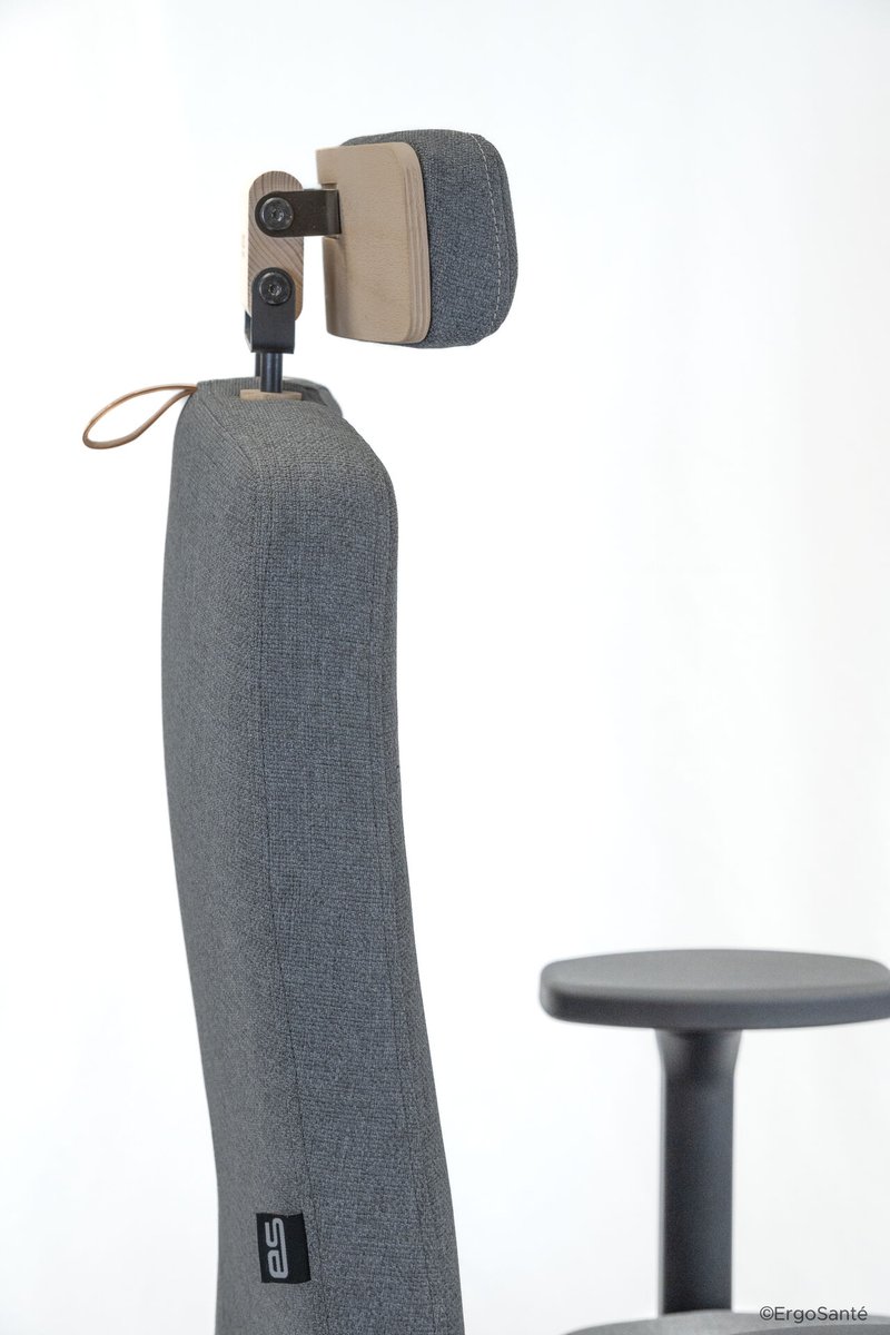 ErgoSanté tweet media