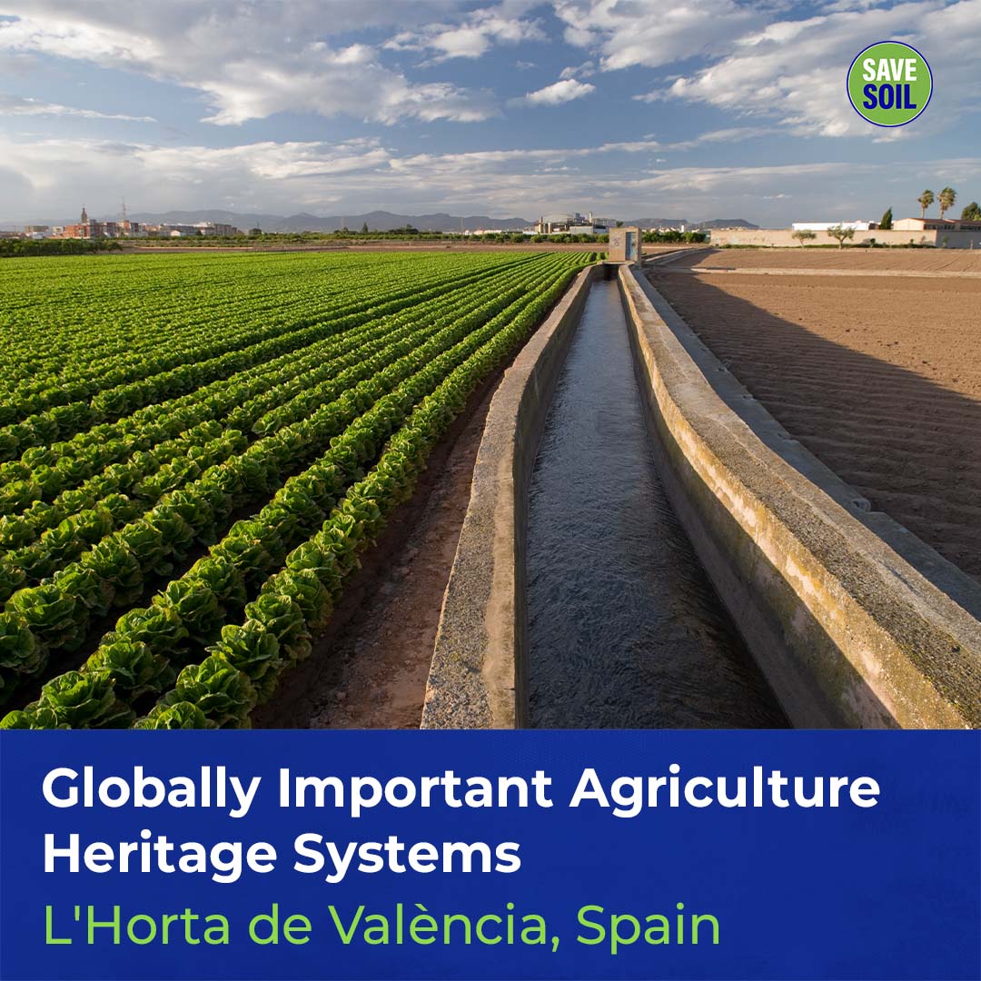 cpsavesoil's tweet photo. Like this heritage sites, our entire planet has the potential to flourish, provided we bring in the correct measures to #SaveSoil. Urge your leaders to enact soil-friendly policies now. https://t.co/WIbbZN7vAA

Photo Credits: © PAT de L'Horta - Generalitat Valenciana
#spain #soil https://t.co/2s4jDJfsd6