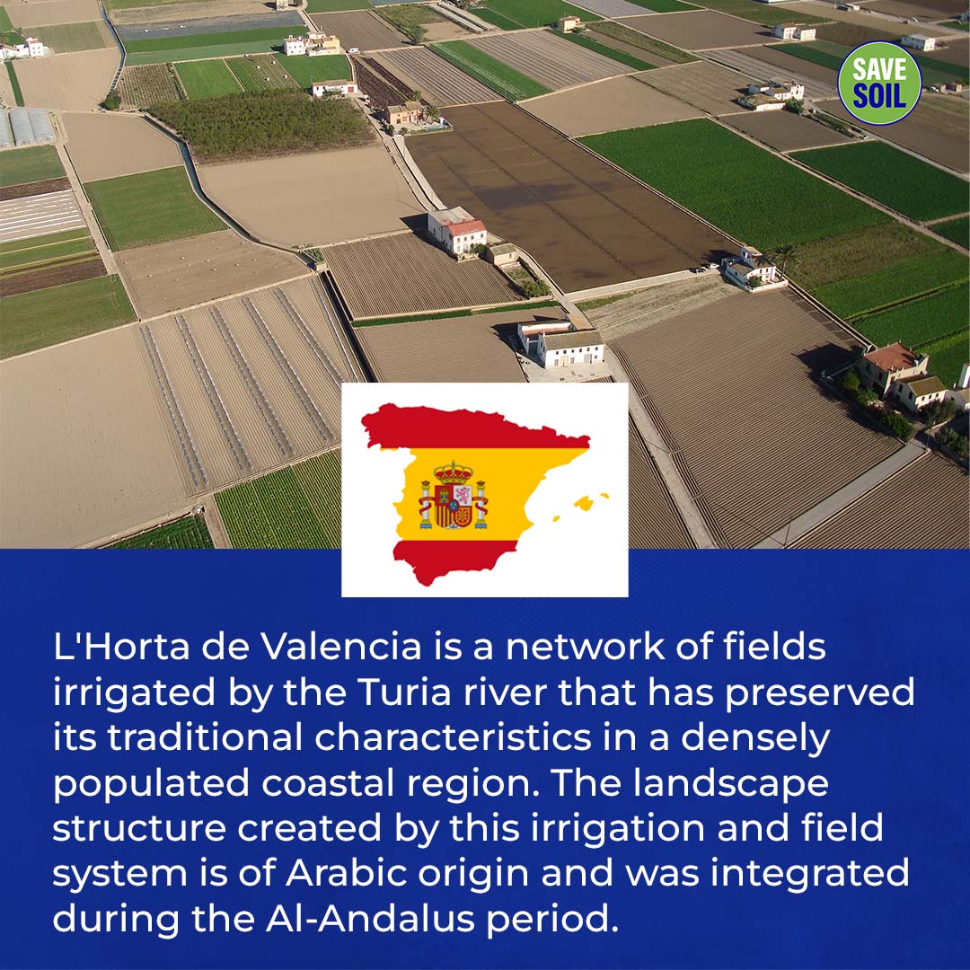 cpsavesoil's tweet photo. Like this heritage sites, our entire planet has the potential to flourish, provided we bring in the correct measures to #SaveSoil. Urge your leaders to enact soil-friendly policies now. https://t.co/WIbbZN7vAA

Photo Credits: © PAT de L'Horta - Generalitat Valenciana
#spain #soil https://t.co/2s4jDJfsd6