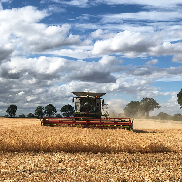 Simpleas Plant Based tweet media