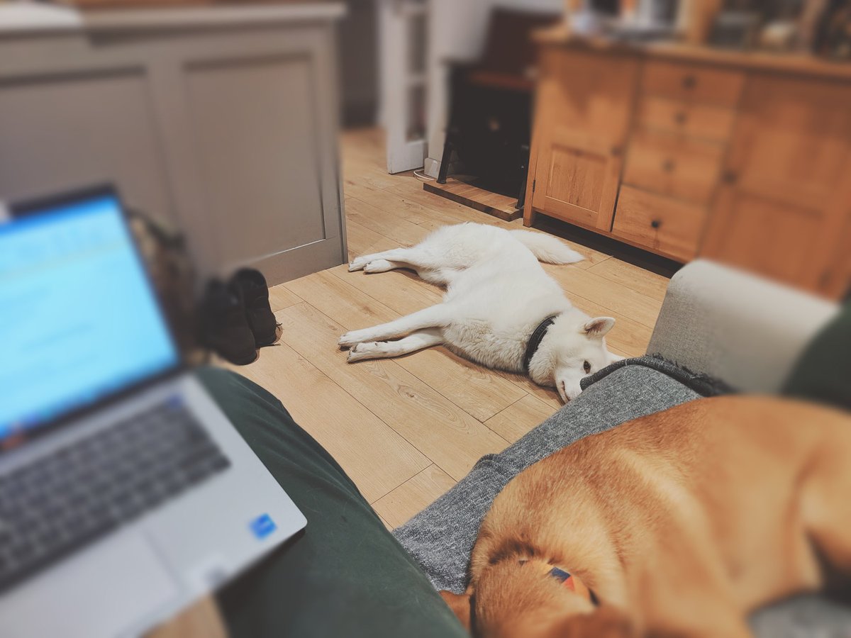 FredGre94488127's tweet image. Happy Wednesday 🙂 
Finishing off some prep for teaching  on ITR this week and both dogs managed to sit still for 5 minutes 😂 mostly because I was I think. 

Have a great week. 
#PositiveVibes #bitnippy #ITRs #Lessonprep