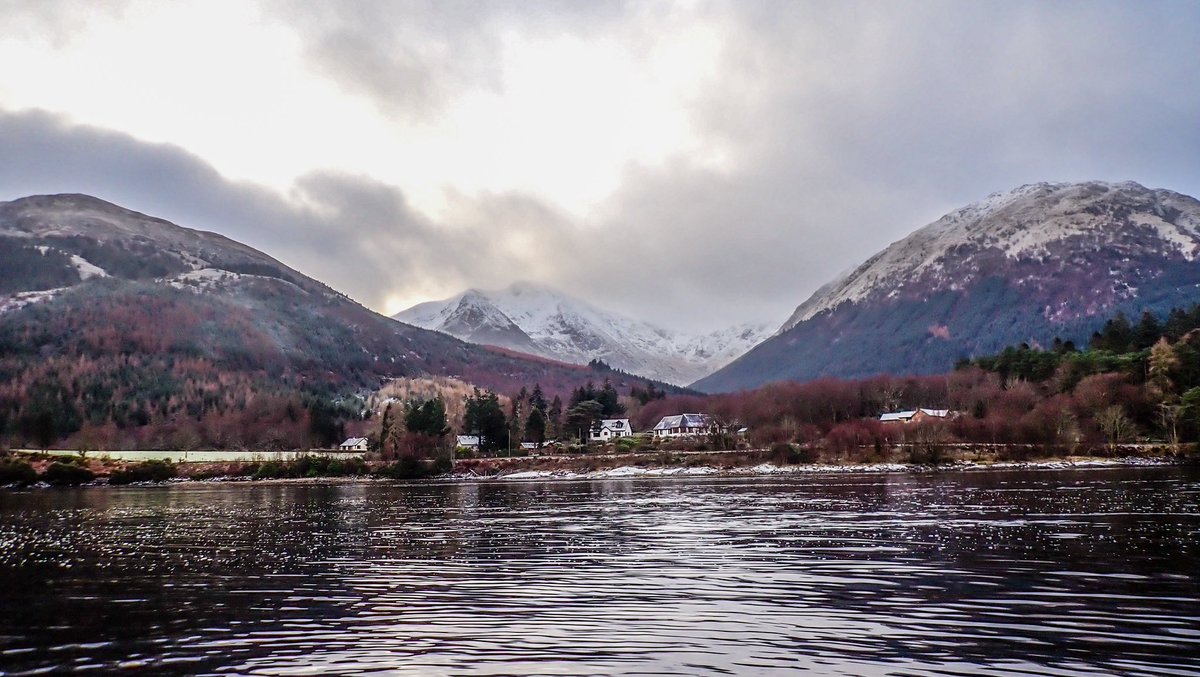 Nick Ray tweet media