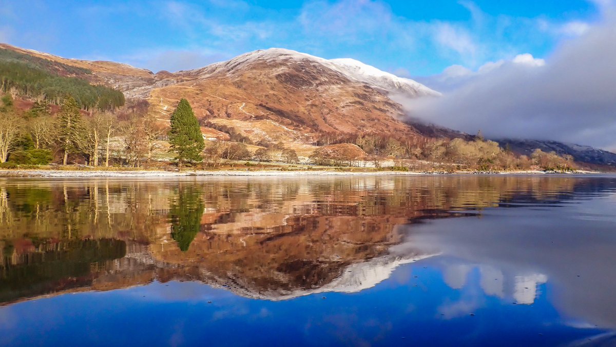 Nick Ray tweet media