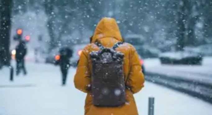 Salpafuera. tweet media