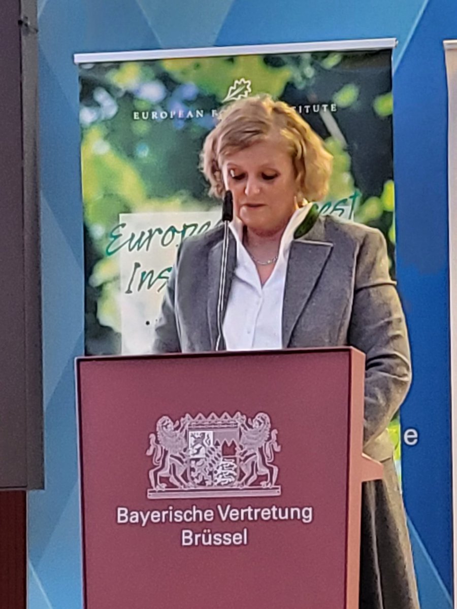 The #ForestInnovation Workshop just started! Opening by Barbara Schretter (Bavaria EU Representation) and <a href="/ClaraSanDamian/">Clara San Damián</a>

<a href="/ERIAFF_Network/">ERIAFF Network</a> <a href="/efibioregions/">EFI Bioregions Facility</a> <a href="/europeanforest/">European Forest Institute (EFI)</a> <a href="/COPACOGECA/">COPA-COGECA</a> <a href="/ForestETP/">FTP</a> <a href="/EUSTAFOR/">European State Forests</a> @euromontana <a href="/CEPF_EU/">EuropeanForestOwners</a> <a href="/EULandownersOrg/">European Landowners' Organization</a> <a href="/USSE_Forest/">USSE</a> <a href="/FCesefor/">Fundación Cesefor</a> <a href="/waldforschung/">Landesanstalt für Wald und Forstwirtschaft (LWF)</a>