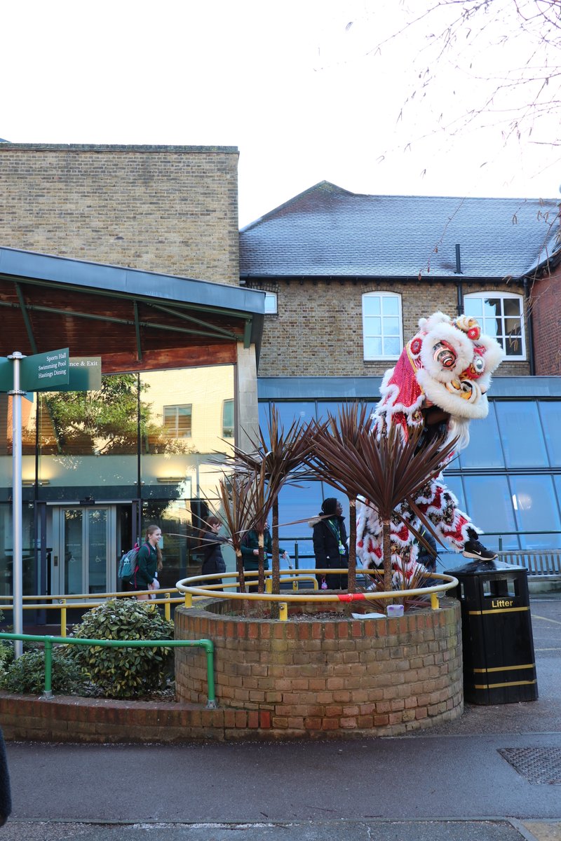 WHS Junior School tweet media