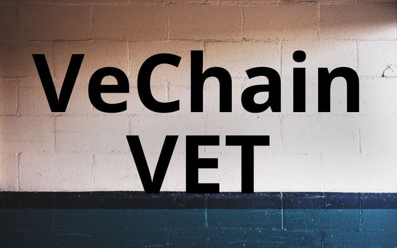 VechainNinja's tweet photo. VeChain (VET) Unveils Tech Roadmap of Notable Projects for 2023 and 2024 https://t.co/P34EGJo3Z1 Vechain Reddit https://t.co/E7Og9RhZvG