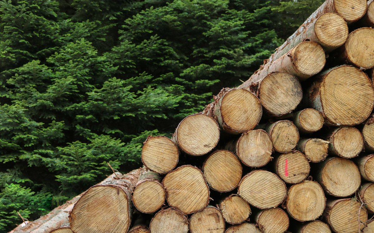 DYK? Trees use CO2 to produce wood. Buildings made from wood continue to store carbon for as long as they exist. The energy stored in 10k cubic feet of wood is enough to light 100 homes for 9 years! <a href="/APAwood/">APA – The Engineered Wood Association</a> <a href="/ahec_europe/">American Hardwood</a> <a href="/ASoftwoods/">American Softwoods</a> #sustainability #GreenBuilding