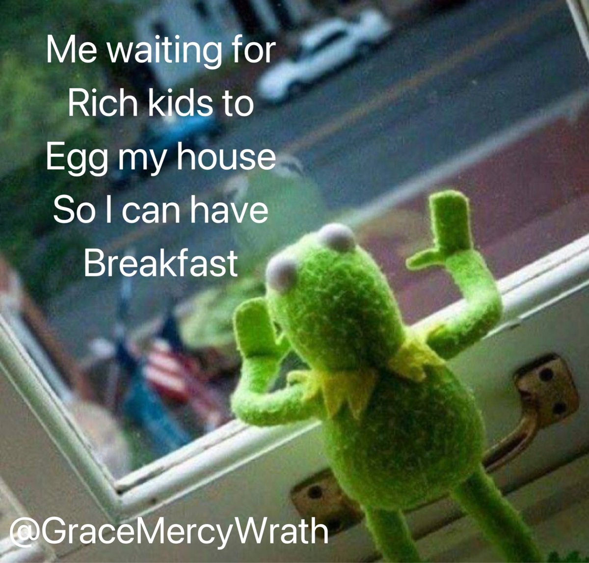 GraceMercyWrath's tweet image. #eggflation #egg2025 @TRHLofficial @Timcast @scrowder