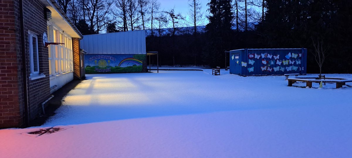 Straidhavern Primary School tweet media