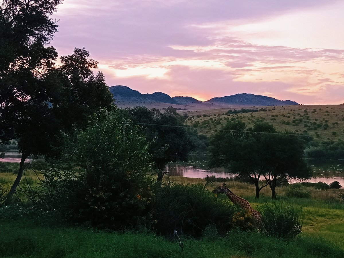 ekudeni's tweet photo. Our view after a hectic day of filmcrews coming to do there 'thing'
#movie_scouts #movieProdsGroup #FilmTwitter #filming #moviedirector #movieproducer #locationscouts #actorslife #filmdirectors #filminafrica https://t.co/yIHpEEeARz