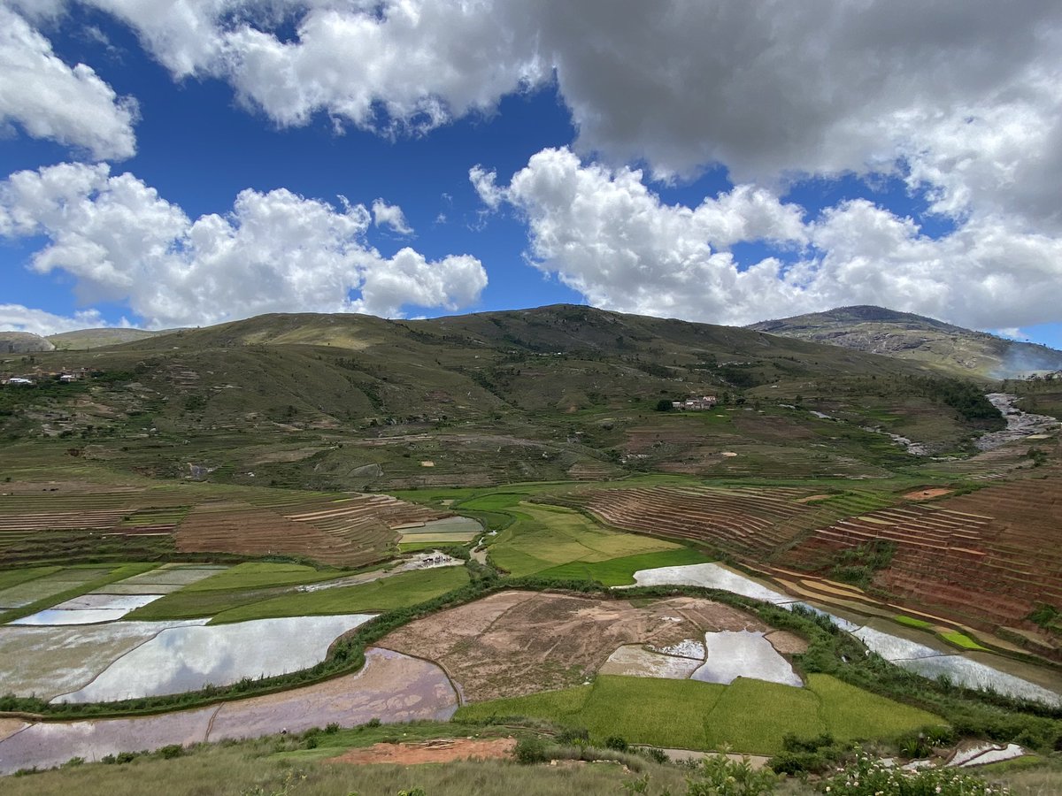 CroixDu_Sud's tweet photo. ⛱️ Il a bien plu ces derniers temps, tout ce petit monde est au taquet dans leur champs « #riziculture ». J’adore ce paysage verdoyant des hautes terres centrales, sans parler des scenes de vie autour 🥰#Madagascar🇲🇬 #ricefiled #agriculture #crop #repiquage https://t.co/cKVNIRCMvj