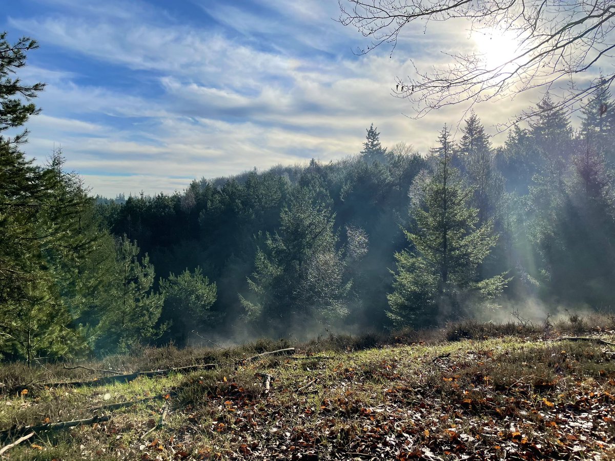 DriesEden's tweet photo. Mooie Woensdag allemaal. #winter 🌤️ #4gr 🌤️ #Kwintelooyen #Heuvelrug #Natuur #Rhenen #Veenendaal #Dutch #Netherlands #Nederland https://t.co/KA9z0x91Qp