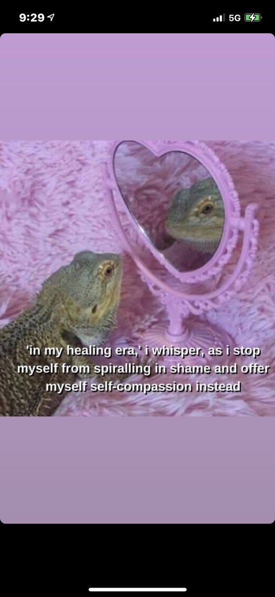 smol_beanSprout's tweet photo. A week in critters https://t.co/kiLw7cHp7t