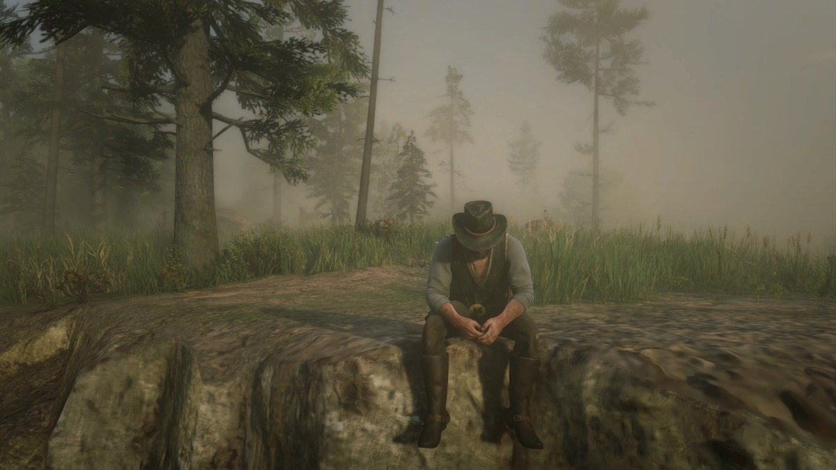 Aegra's tweet photo. it's been 7 play thoughts and I'm just finding the in game camera 🤣🤣📷 #reddeadremption2 #RDR2 #arthurmorgan #PCgamer https://t.co/w6SsIZBFSc