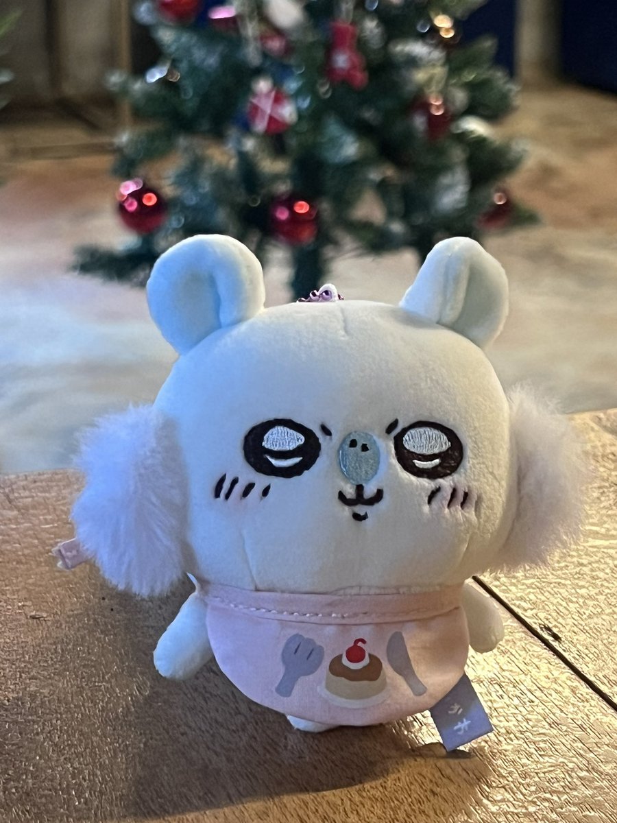 ˚✧₊⁎ 𝒕𝒐𝒓 ⁎⁺˳✧˚ tweet media