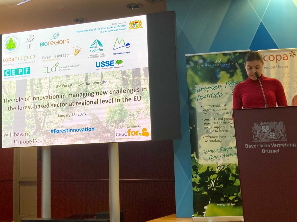 Inauguración del 5º Taller Europeo de Innovación #forestal por las delegadas de Baviera y #CastillaYLeon. <a href="/ClaraSanDamian/">Clara San Damián</a> destaca el compromiso del Gobierno <a href="/jcyl/">Junta de Castilla y León</a> con la gestión forestal y remarca la necesidad de #digitalización,  #innovación y cooperación regional (Ver 🧵)