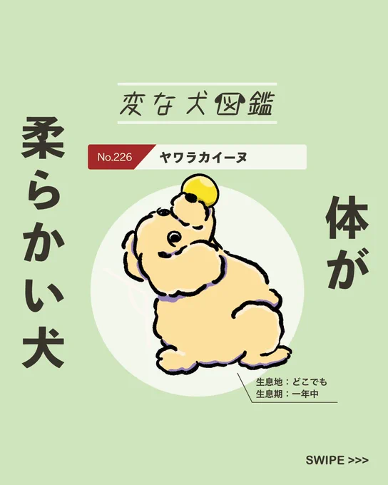 【#変な犬図鑑】
No.226 ヤワラカイーヌ
体が柔らかいあの犬です。 