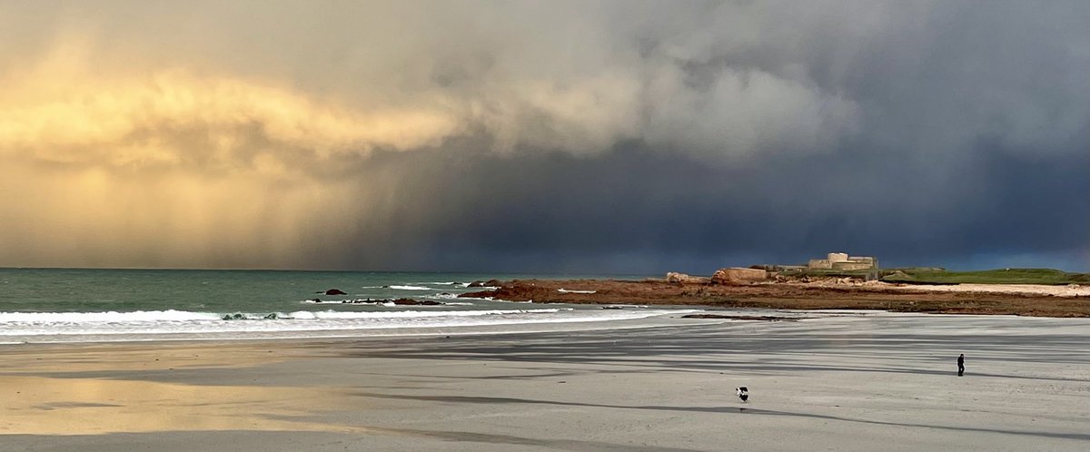 January morning just before another shower ☔️