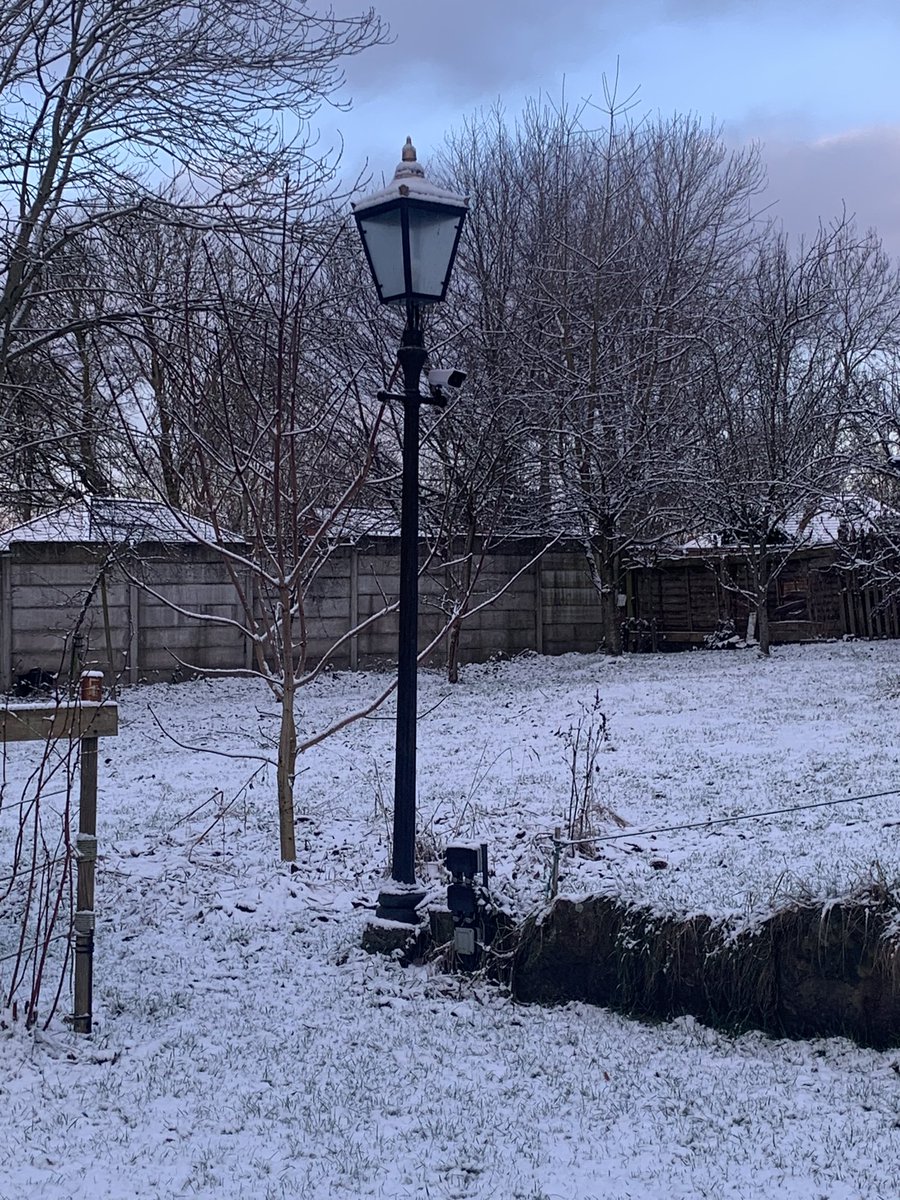 RegineMay's tweet image. My garden has turned into Narnia #TinyJoys