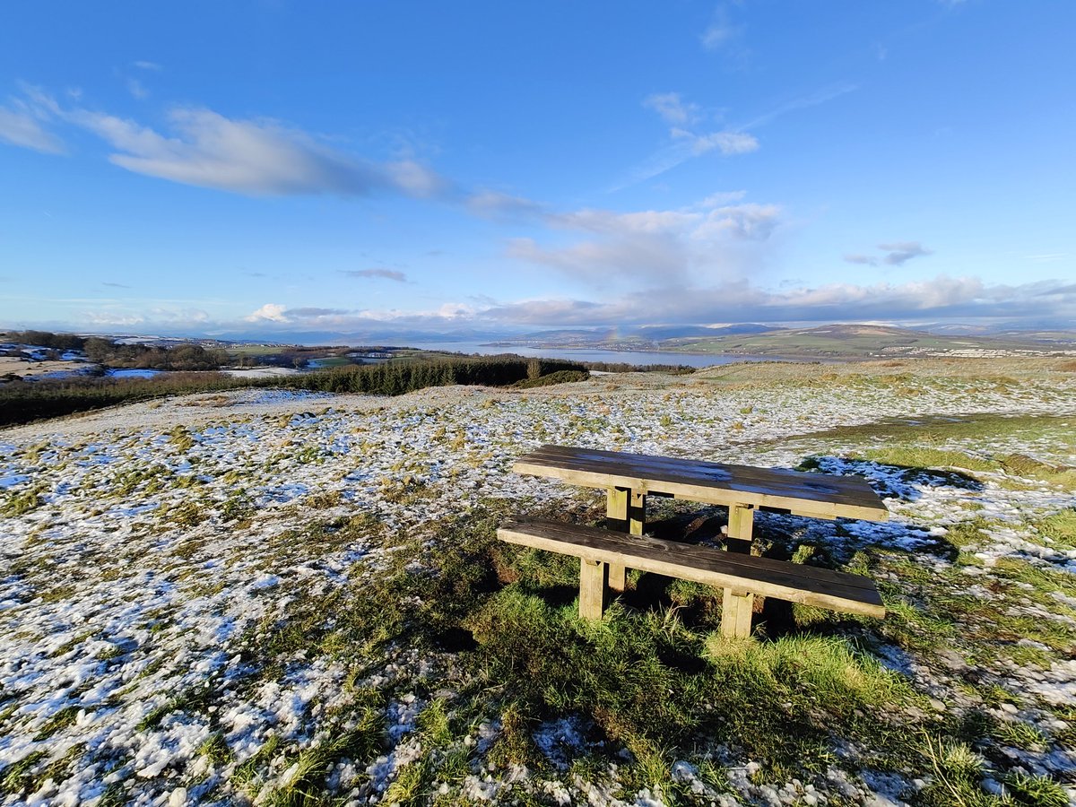 petermacduk's tweet photo. Daft collie cross enjoys view from Langbank Rise - great child and dog friendly walk out of Kilmacolm #bbcgms https://t.co/z7vUX5vaGu