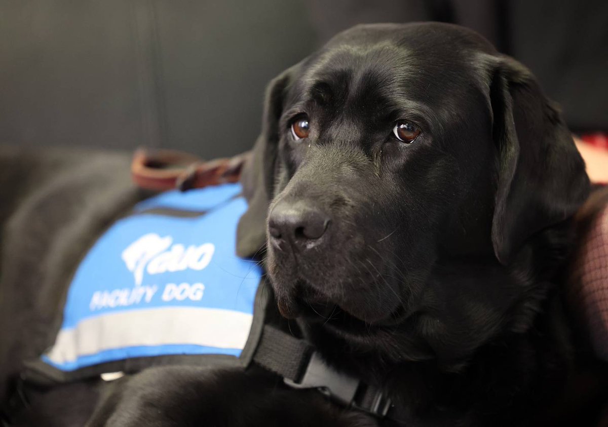 𝐬𝐚𝐲𝐜⚯𝐥𝐞𝐧𝐠𝐥𝐢𝐬𝐡™🧠📚🐈⬛ tweet media