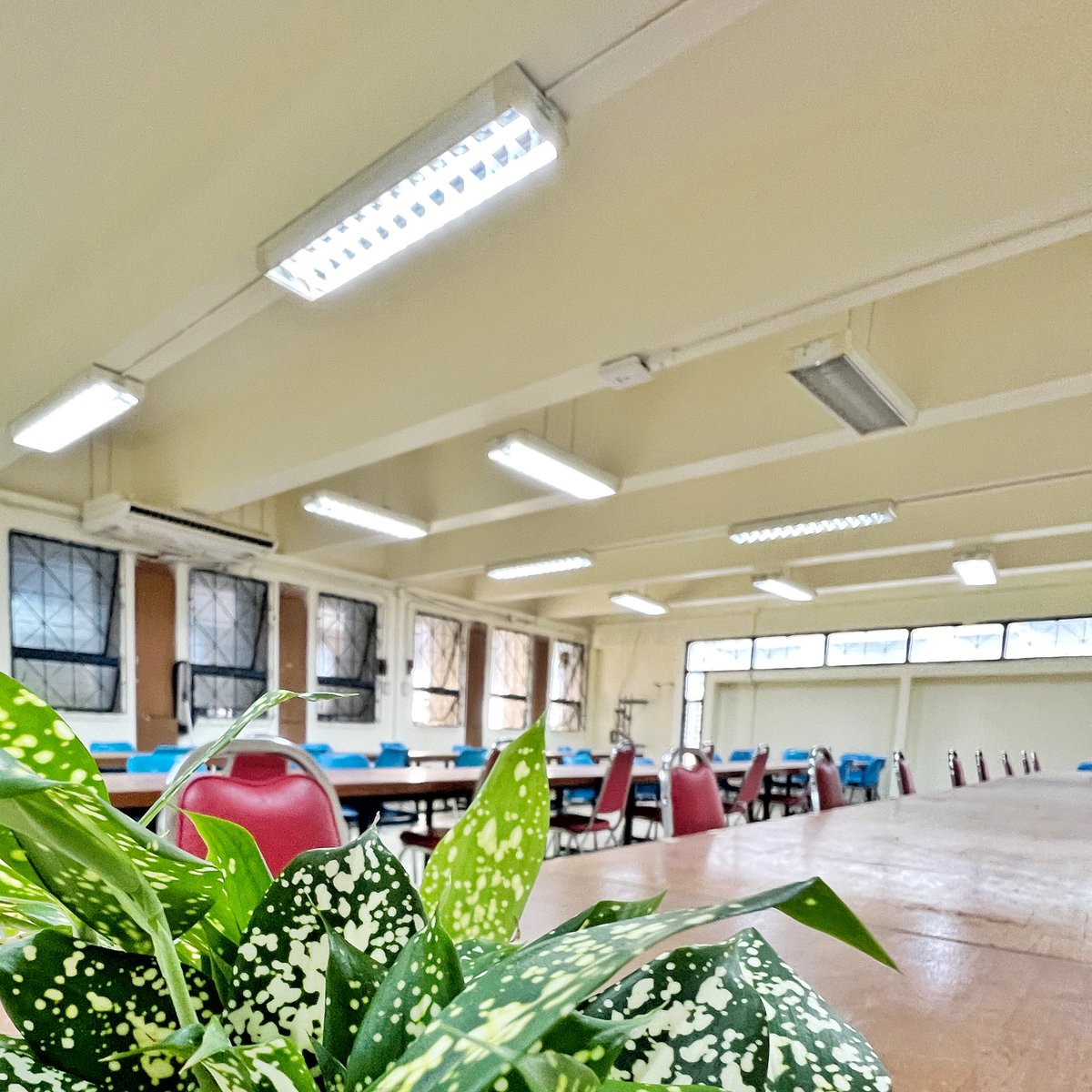 CivilCMU's tweet photo. ห้องอ่านหนังสือ (ตึกขนส่ง) ของภาควิชาวิศวกรรมโยธา เปิดให้บริการ 24 ชม. 

นักศึกษาภาควิชาสามารถสแกนเข้าได้ทางบันไดตึกชั้น 2

… ส่วนห้องอ่านหนังสือที่ตึกโครงสร้าง ยังคงเปิดให้บริการ 24 ชม เหมือนเดิม

#ทีมมช https://t.co/bzqv7Da8Ji