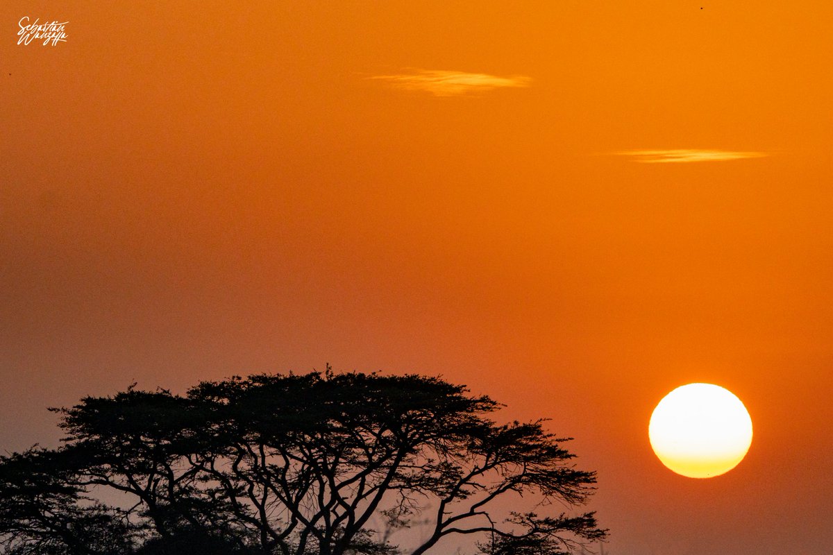 Sunrise ~ Nairobi National Park 
#NairobiNationalPark