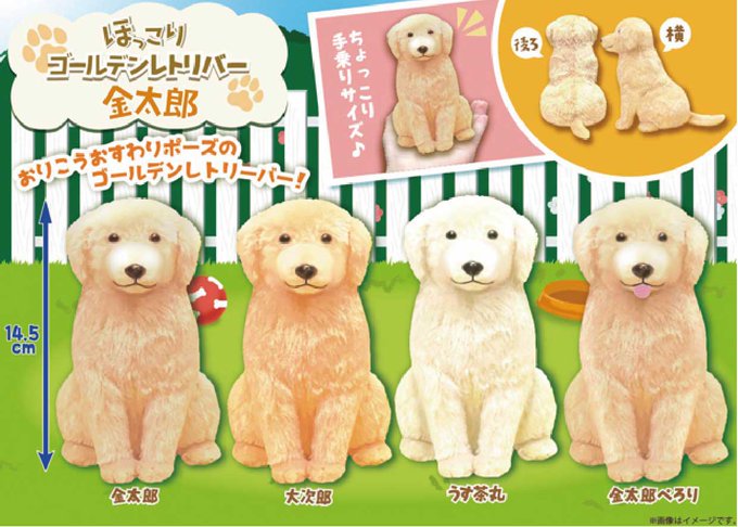 セット ほっこりゴールデンレトリバー 金太郎 うす茶丸 ぬいぐるみ