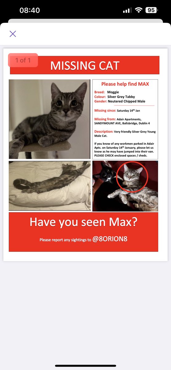 Please retweet to help get Max home. Neo misses his #bestie desperately. Please help us #reunite our #rescuecats #MaxCatMissingDublin #GreyTabby #Moggie #lostcat #missingcat #cat #sandymount #dublin #lost #foundcat #cats #missing #lostcats #share #help #reunite