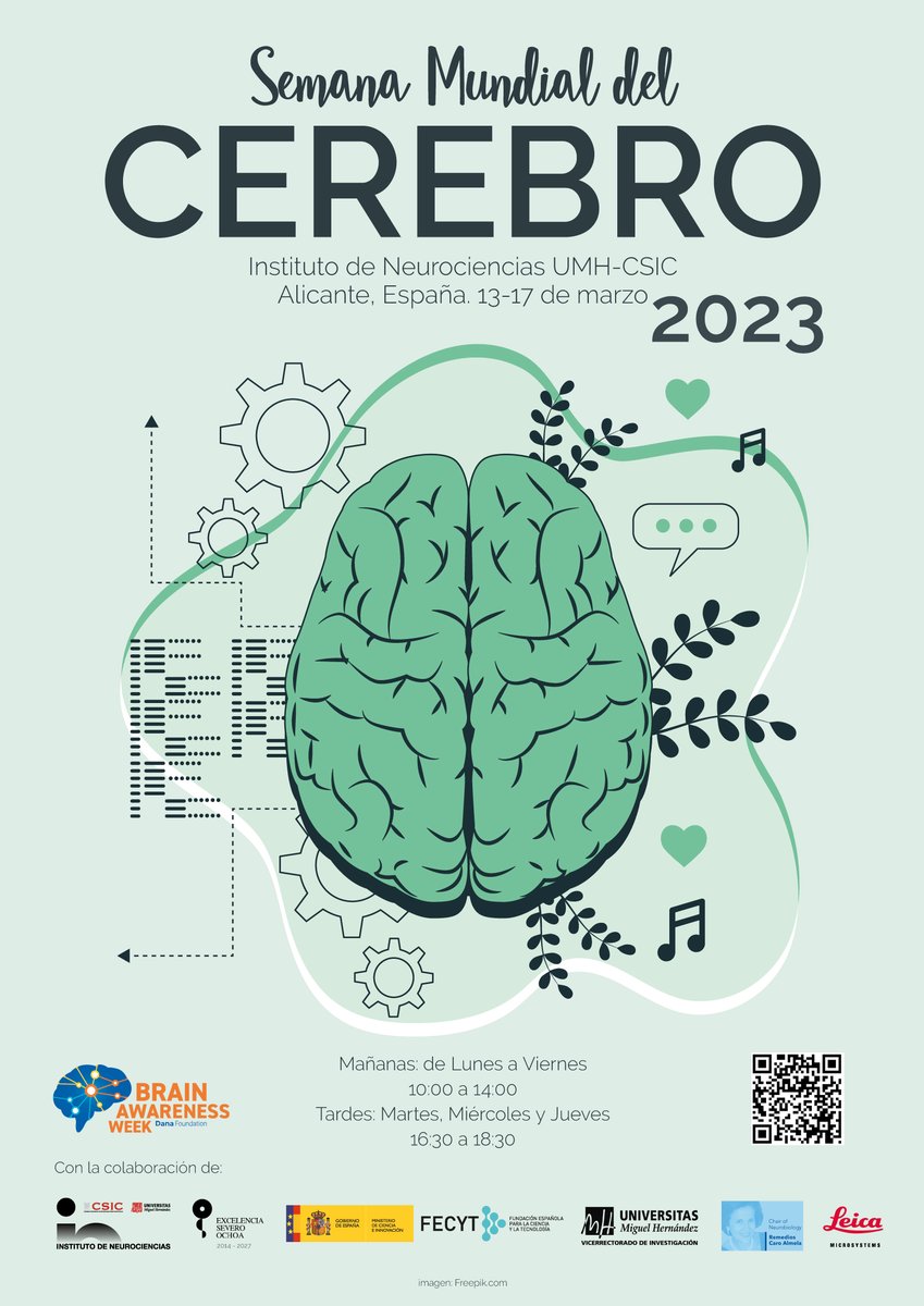 Instituto de Neurociencias UMH-CSIC (@neuroalc) on Twitter photo ‼️Desde <a href="/NeuroAlc/">Instituto de Neurociencias UMH-CSIC</a> estamos a tope preparando la #SemanaMundialdelCerebro 2023 <a href="/BAW_Alicante/">SemanadelCerebroALC</a>, resérvate un hueco y ven a visitarnos‼️
#BrainAwarenessWeek2023
📅13 al 17 de Marzo 2023
Toda la info ➡️semanadelcerebroin.umh.es ‼️Desde <a href="/NeuroAlc/">Instituto de Neurociencias UMH-CSIC</a> estamos a tope preparando la #SemanaMundialdelCerebro 2023 <a href="/BAW_Alicante/">SemanadelCerebroALC</a>, resérvate un hueco y ven a visitarnos‼️
#BrainAwarenessWeek2023
📅13 al 17 de Marzo 2023
Toda la info ➡️semanadelcerebroin.umh.es