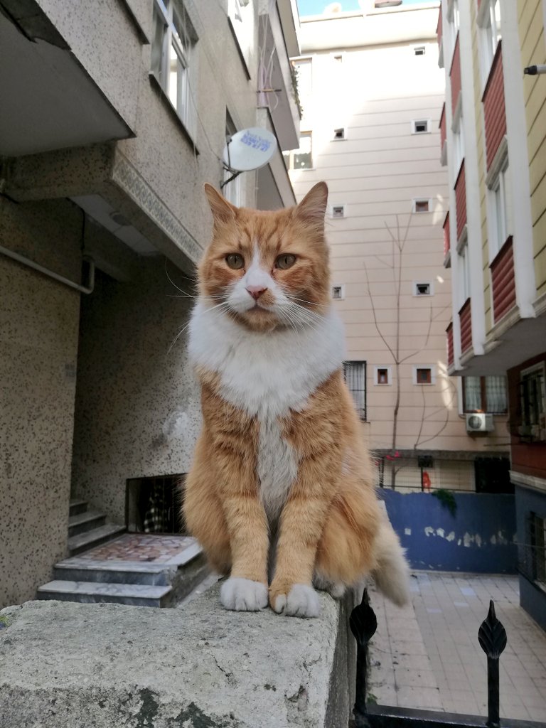 3 yıl sonra hala aynı asalet..