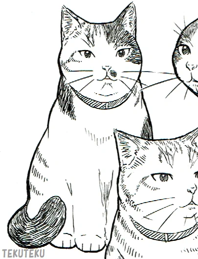 それぞれ寄りにゃ #猫好き #illustration #オリジナルイラスト  #ペン画 #イラスト好きな人と繋がりたい 
