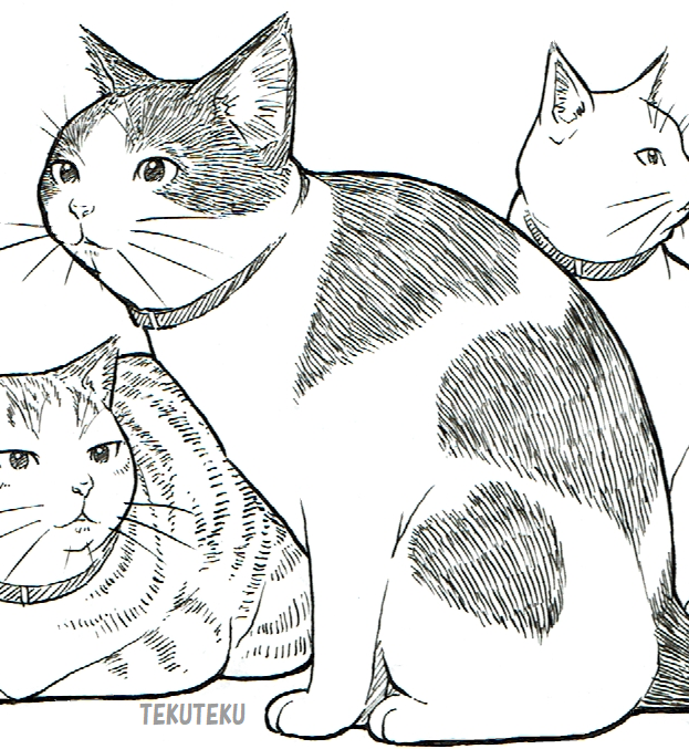 それぞれ寄りにゃ🐱🎶
 #猫好き #illustration #オリジナルイラスト 
 #ペン画 #イラスト好きな人と繋がりたい 