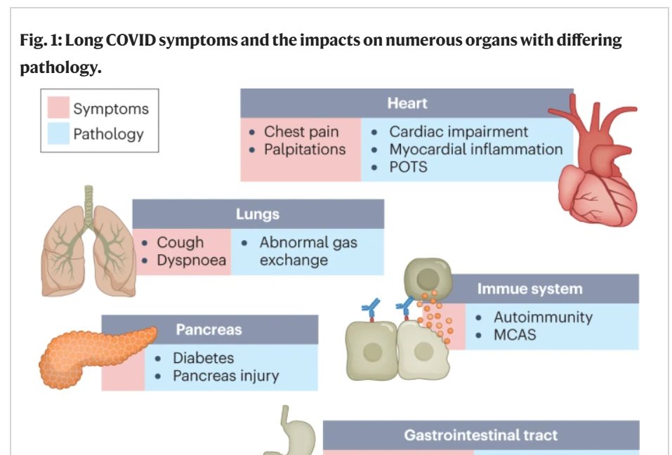 PCIssuesAnswers's tweet photo. Great article in Nature #LongCovid: Major findings, mechanisms and recommendations - https://t.co/4oWo6dScBr There are also some great expert tutorials on the I&amp;A website relating to #LongCovid, free for #HCPs - https://t.co/gXRJZLZniW
@Nature @SallySingh_ @IPFdoc @DocOfHearts https://t.co/EOKTxARMNR