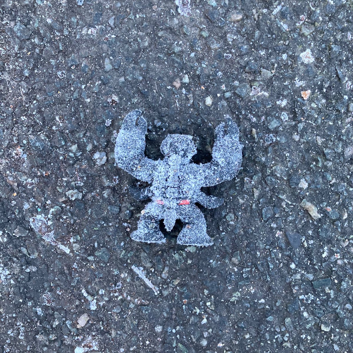 Frosted monster, Woodside Park. #abandoned #litter #rubbish #strangestfind