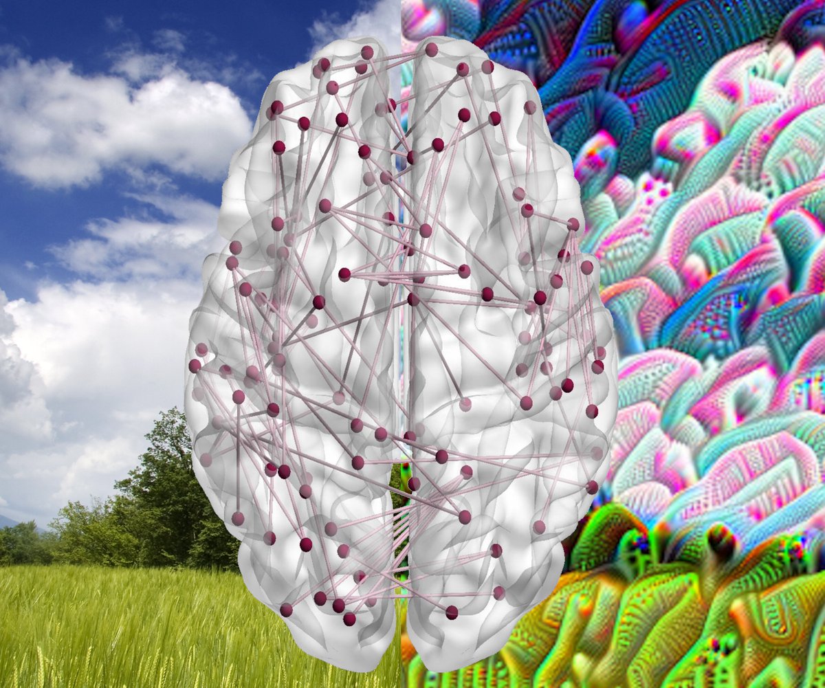 Do you have Parkinson's? Are you interested in volunteering for a brain scan? We are looking for people  to help us understand how hallucinations happen in Parkinson's. See <a href="/ParkinsonsUK/">Parkinson's UK</a> for more info parkinsons.org.uk/research/under… thanks <a href="/RobbieRinder/">Rob Rinder</a> for helping spread the word