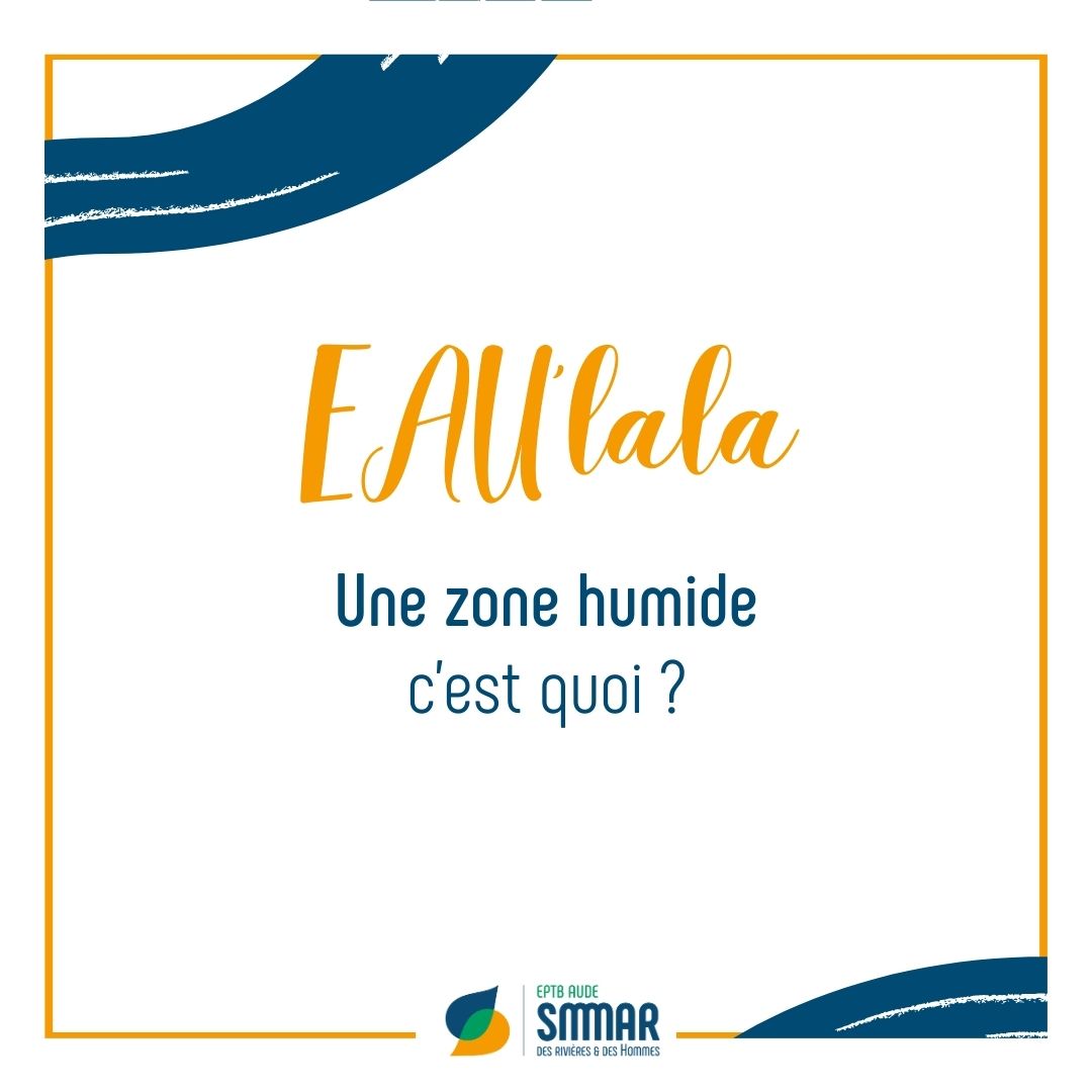smmar_aude's tweet photo. #EAUlala | Une zone humide câest quoi ? C'est un terrain habituellement #inondĂ© ou gorgĂ© d'eau douce, salĂ©e ou saumĂątre. Elle joue un rĂŽle d'Ă©ponge en cas de crue en absorbant le trop dâeau et en redonnant au cours dâ#eau de la ressource en pĂ©riode de sĂ©cheresse. #zonehumide https://t.co/NKrDBJiX68
