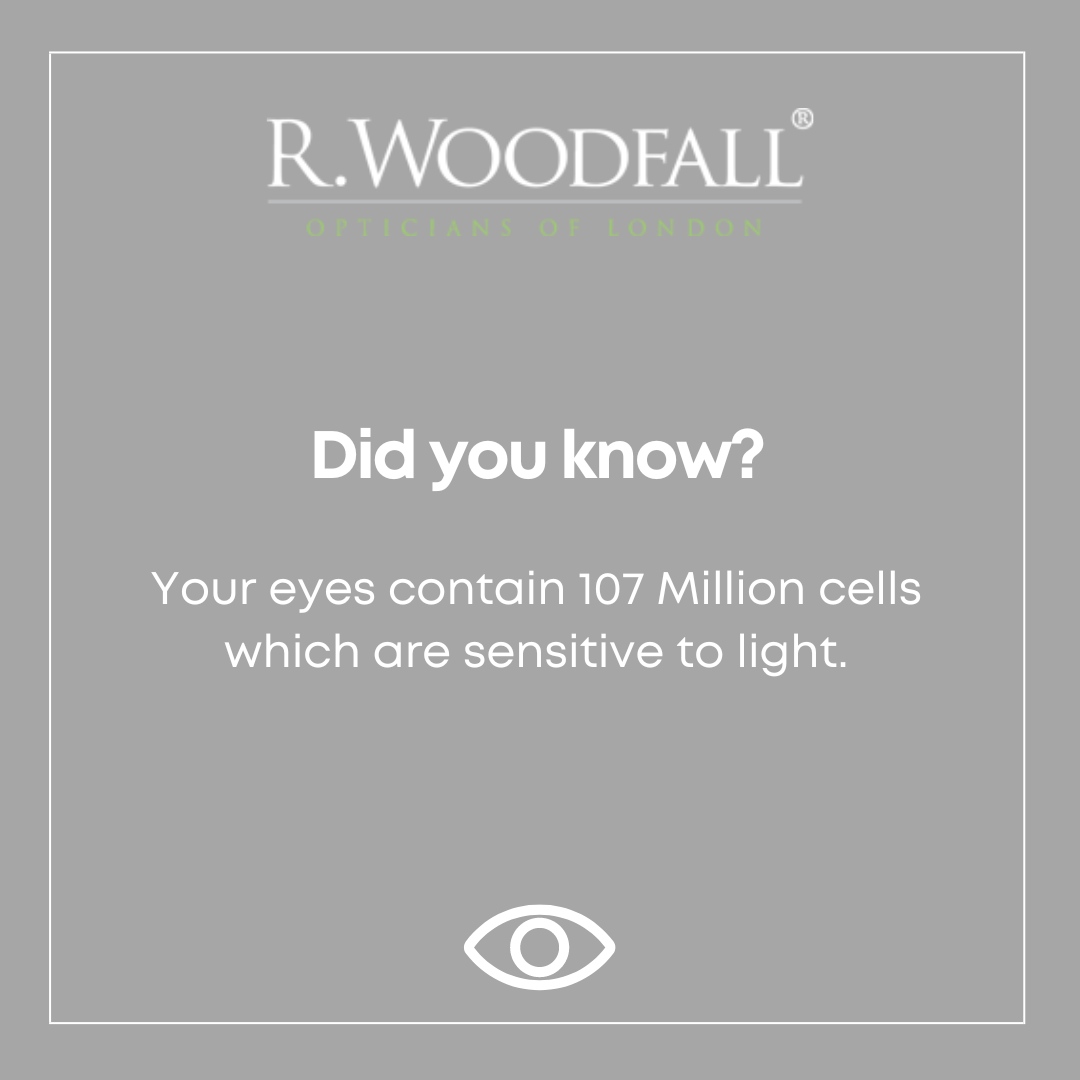 RWoodfallGroup's tweet image. Did you know that your eyes contain 107 million cells that are sensitive to light? Talk about a high-definition view of the world! 🌟 

#eyeballs #lightsensitive #woodfallopticians #opticians #londonopticians #eyewear #frames #spectacles #optician #independantbusiness 
#Crysta...