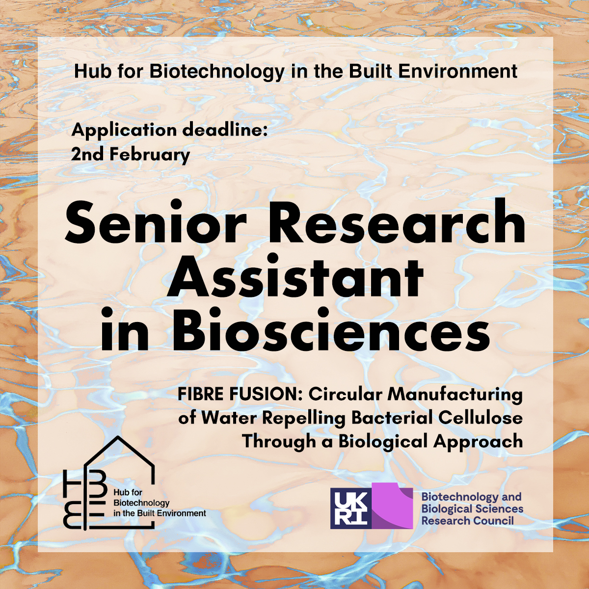 Hub for Biotechnology in the Built Environment tweet media