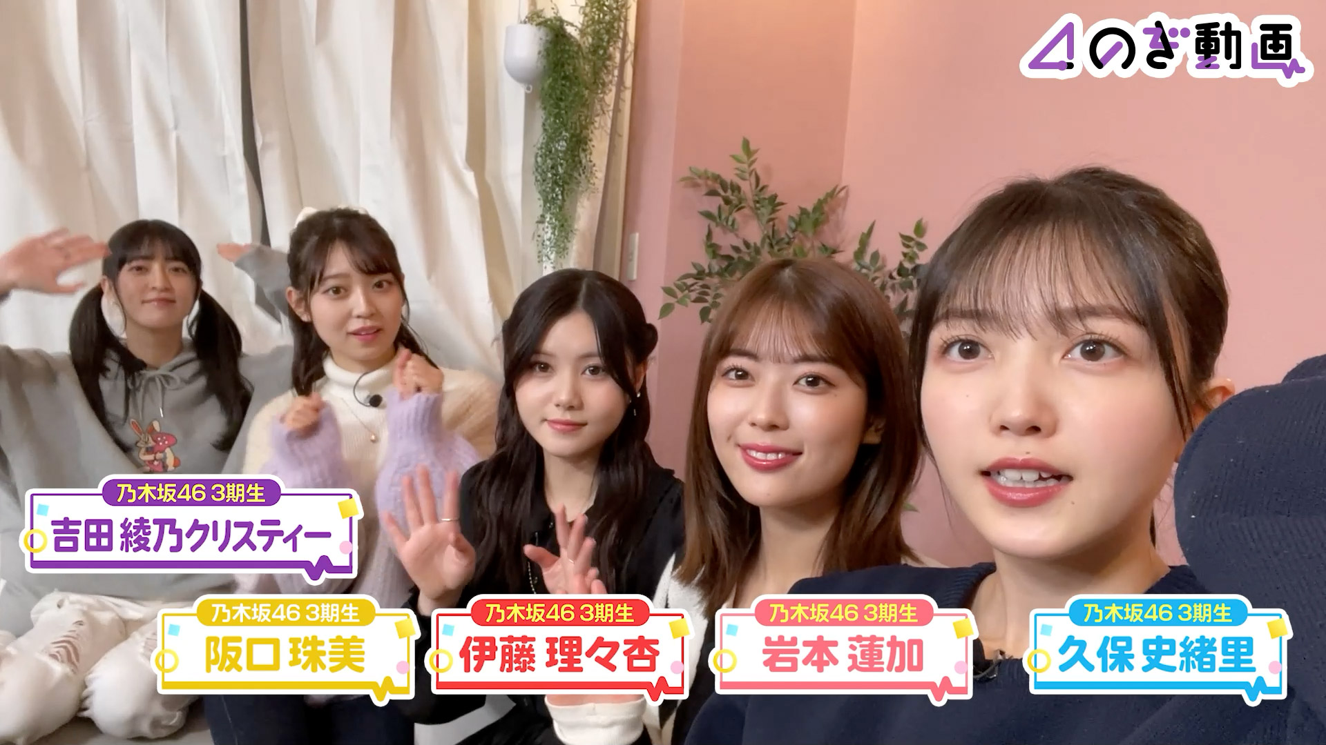 乃木坂あそぶだけ#37 伊藤理々杏・岩本蓮加・久保史緒里 直筆サイン