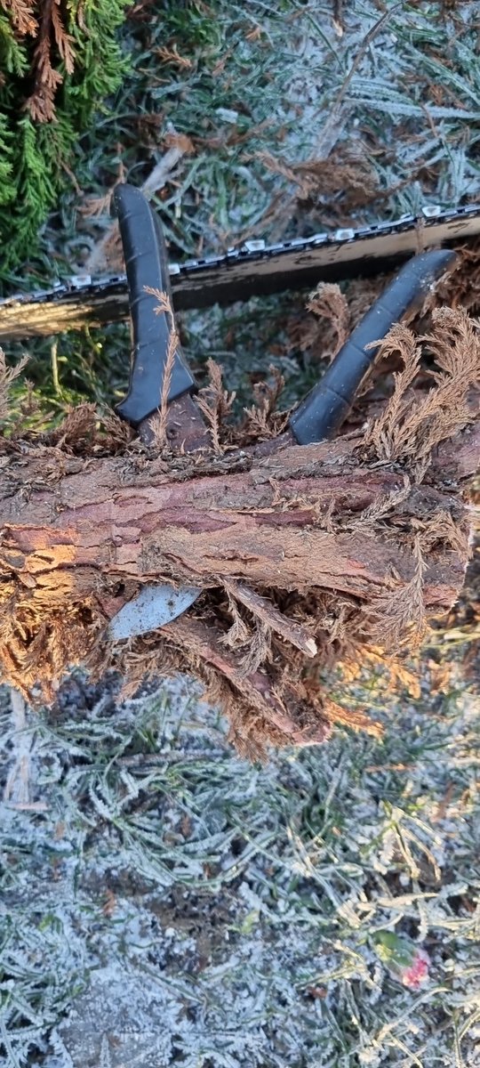 So that's where they went.
Hunted everywhere for them.🤣